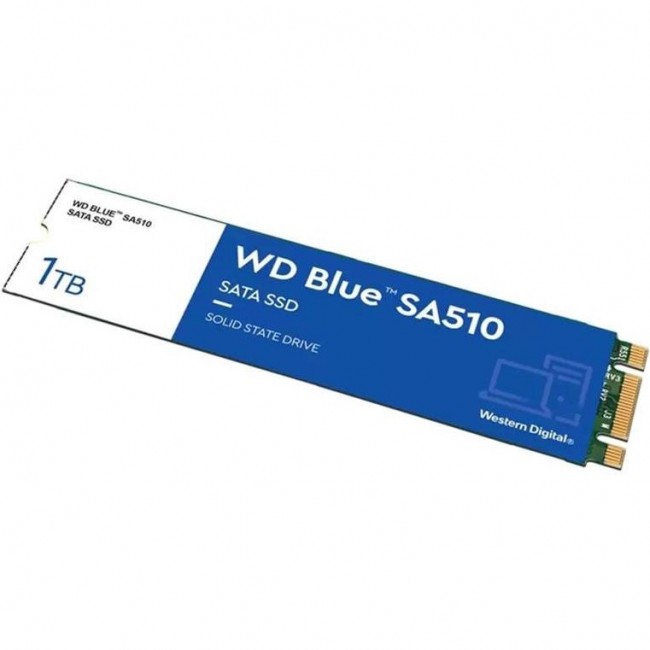 WD Blue SA510 M.2 1 TB (WDS100T3B0B)