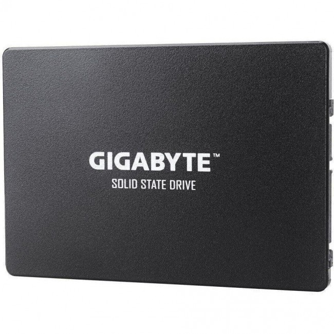 Gigabyte GP-GSTFS31100TNTD