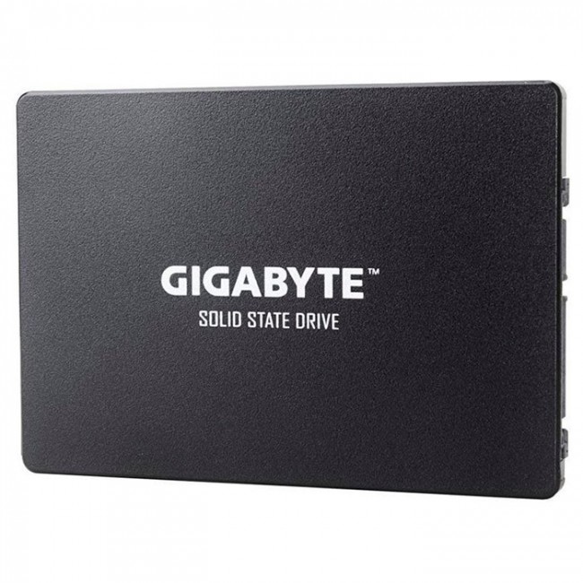 Gigabyte GP-GSTFS31256GTND