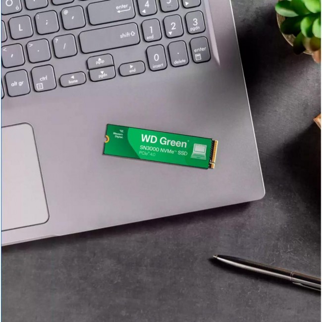 WD Green SN3000 1 TB (WDS100T4G0E)