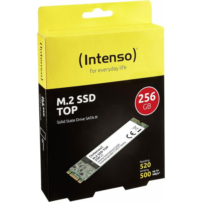 Intenso TOP 256 GB (3832440)