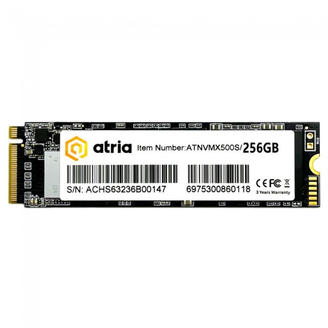 ATRIA X500S 256 GB (ATNVMX500S/256)