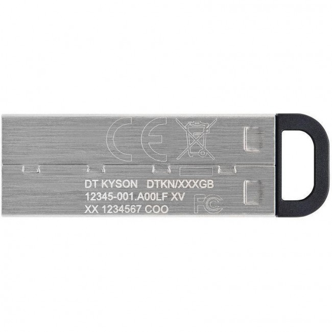 Kingston 256 GB DataTraveler Kyson (DTKN/256GB)