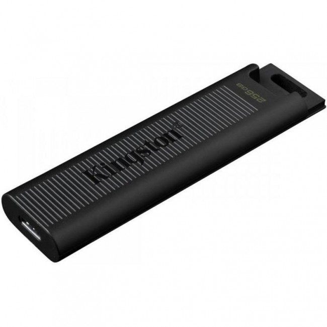 Kingston 256 GB DataTraveler Max USB 3.2 Gen 2 (DTMAX/256GB)