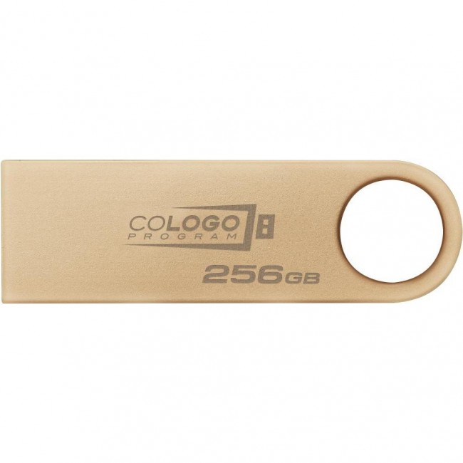 Kingston 256 GB DataTraveler SE9 Gen 3 Gold (DTSE9G3/256GB)