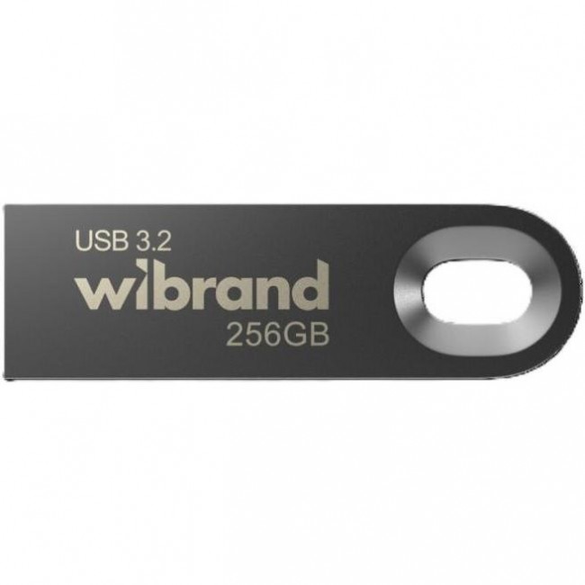 Wibrand 256 GB Eagle USB3.2 Gray (WI3.2/EA256U10G)
