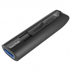 SanDisk 256 GB Extreme Go  (SDCZ810-256G-G46)
