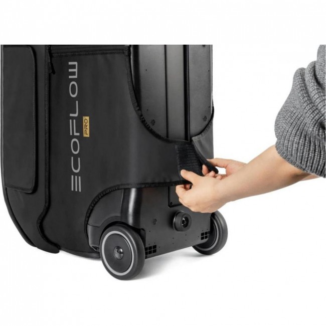Сумка для DELTA Pro EcoFlow DELTA Pro Bag (BDELTAPro)