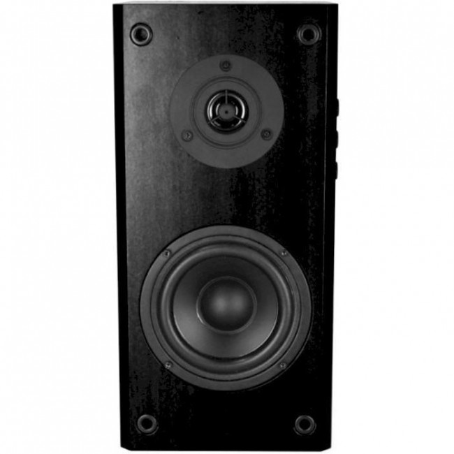 Media-Tech Audience HQ 40W Black (MT3143K)