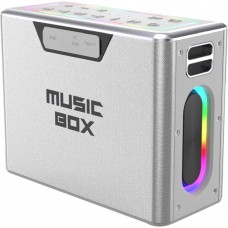 HiFuture MusicBox 100 Silver (musicbox100.silver)