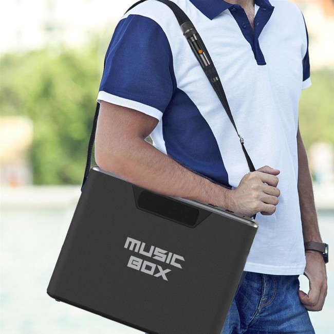 HiFuture MusicBox 100 Silver (musicbox100.silver)