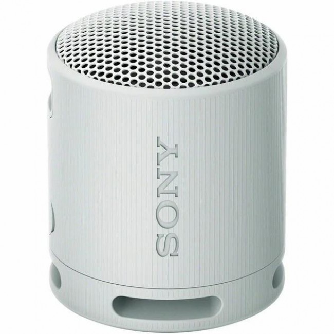 Sony SRS-XB100 Grey (SRSXB100H.CE7)