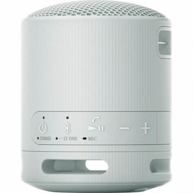 Sony SRS-XB100 Grey (SRSXB100H.CE7)