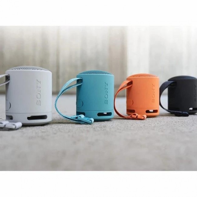 Sony SRS-XB100 Grey (SRSXB100H.CE7)