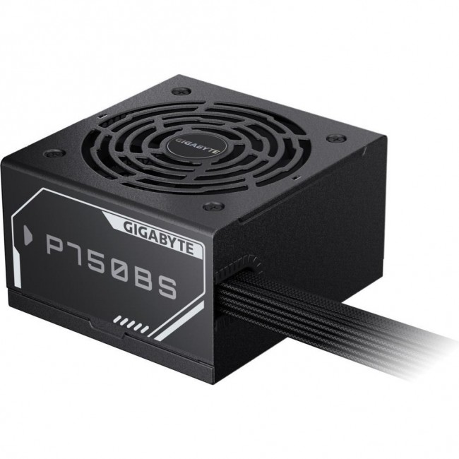 GIGABYTE P750BS (GP-P750BS)