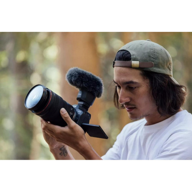 Фотокамера Canon EOS R6 Mark II kit (24-105mm) IS STM (5666C030)