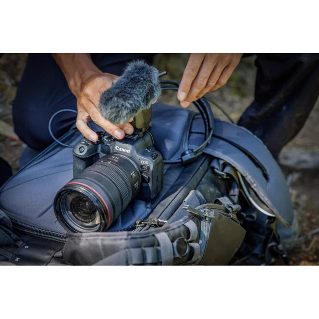 Фотокамера Canon EOS R6 Mark II kit (24-105mm)L IS (5666C029)