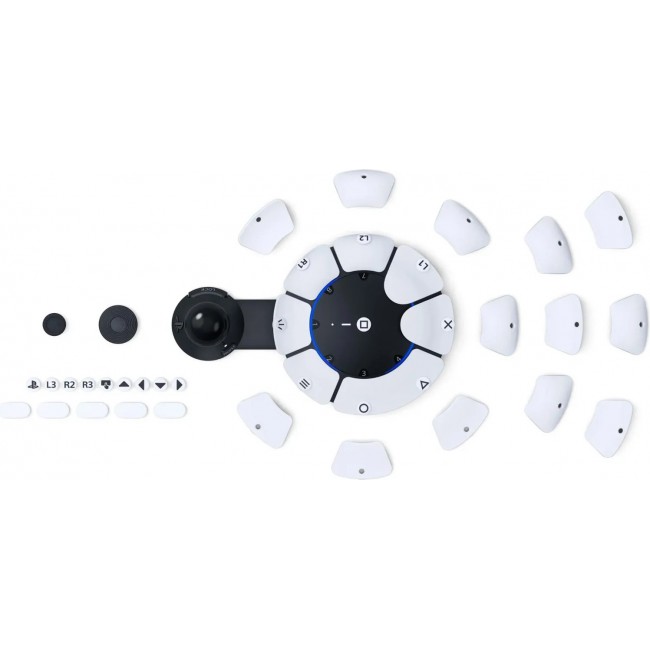 Sony Access controller (1000038412)