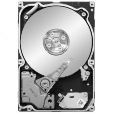 Seagate Constellation.2 ST91000640NS