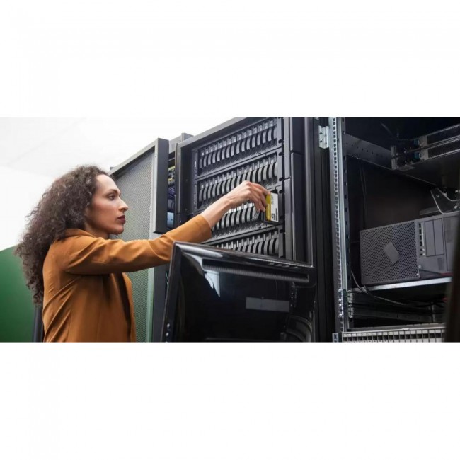WD Gold 20 TB (WD202KRYZ)