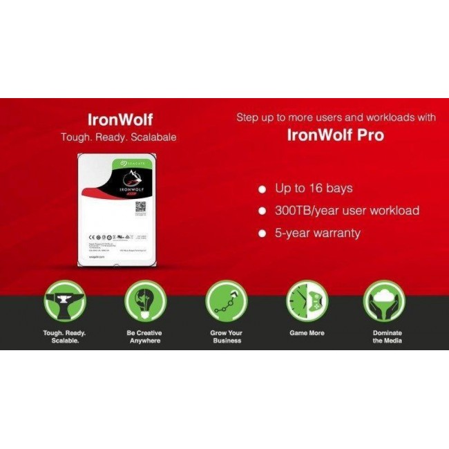 Seagate IronWolf Pro 6 TB (ST6000NT001)