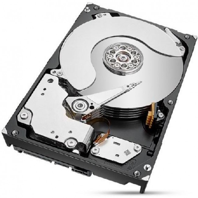 Seagate IronWolf Pro 8 TB (ST8000NT001)