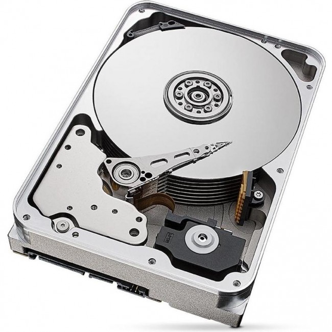 Seagate SkyHawk AI 16 TB (ST16000VE004)