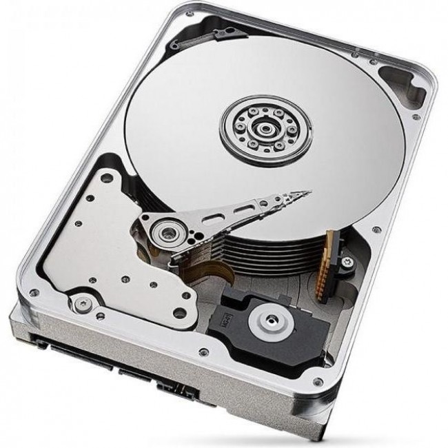 Seagate SkyHawk AI 24 TB (ST24000VE002)