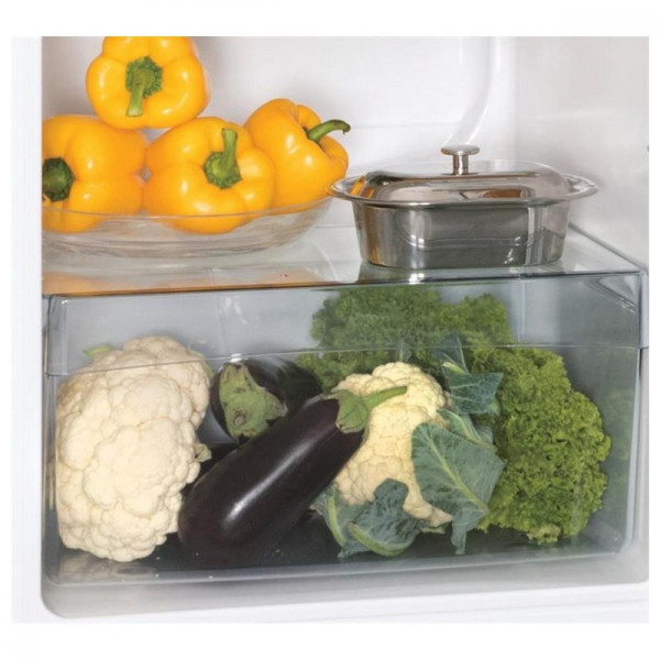 Холодильник с морозильной камерой Snaige FR24SM-S2000F