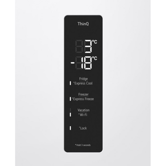LG GW-B509FVFW