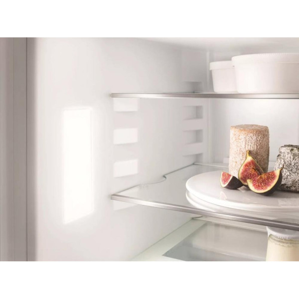 Холодильник с морозильной камерой Liebherr ICe 5103