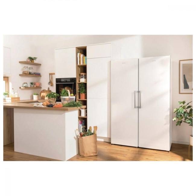 Холодильник Gorenje R619FEW5