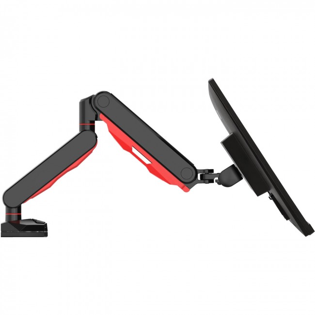iiyama DSG3001C-R1