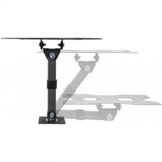 KIVI Motion-221