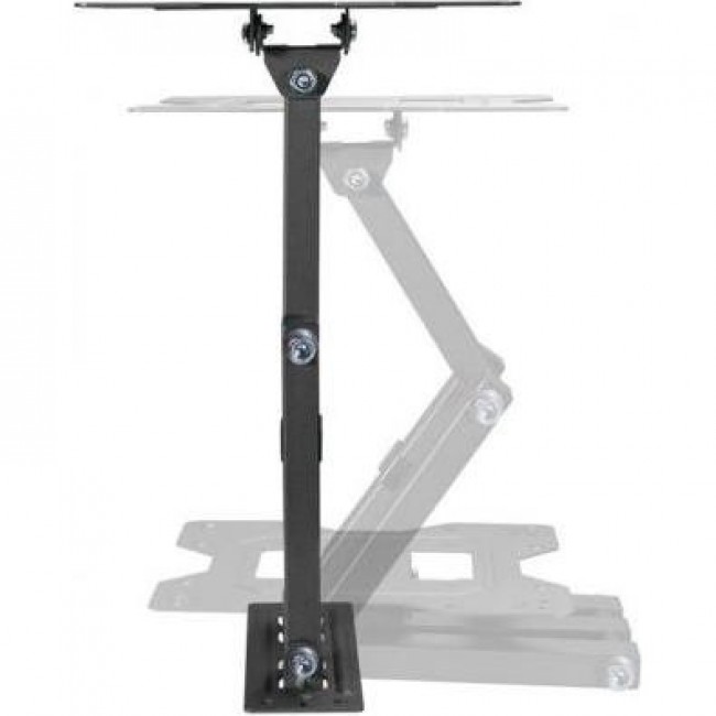 KIVI Motion-223