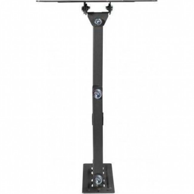 KIVI Motion-223