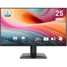 MSI PRO MP251L E2