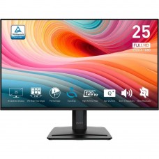 MSI Pro MP251 E2 (9S6-3PD2CM-011)