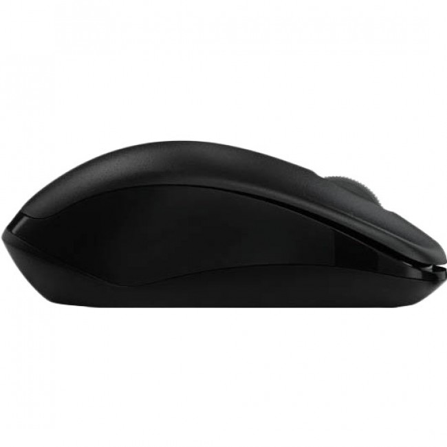 RAPOO 1620 Wireless Optical Mouse