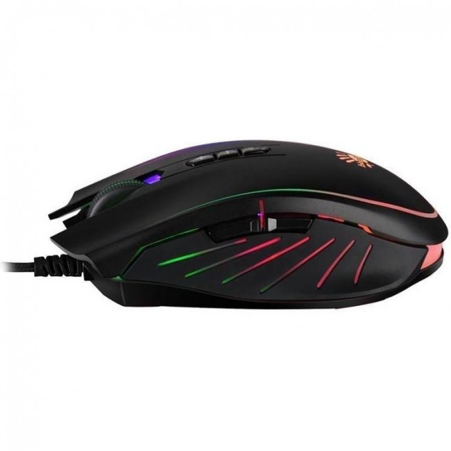 Bloody Q81 Neon X'Glide Curve