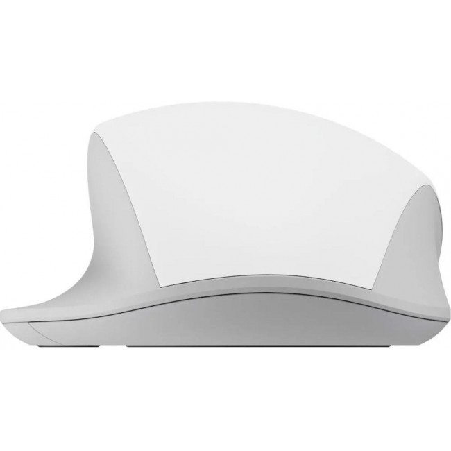 Xiaomi Wireless Mouse Comfort Edition (BHR9354GL)
