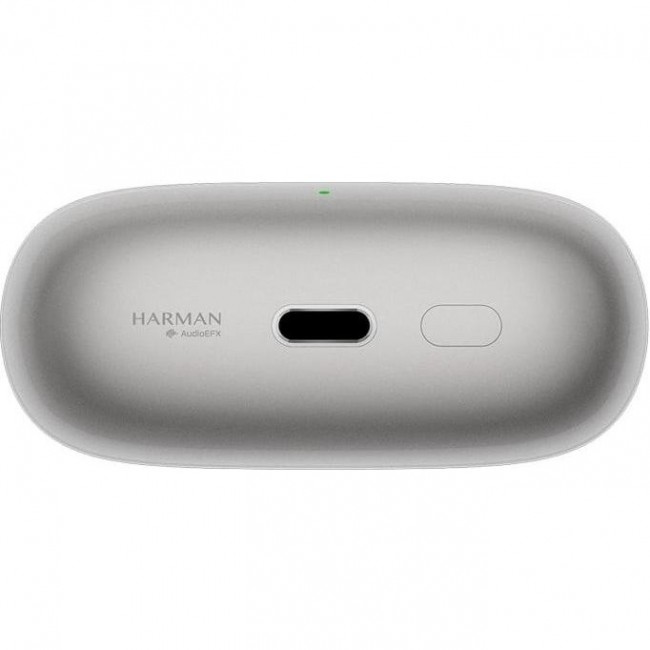 Xiaomi Buds 5 Pro Titan Gray (BHR9640GL)