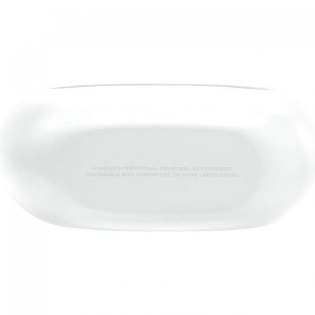 JBL Endurance Race 2 White (JBLENDURACE2WHT)