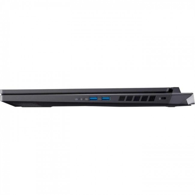Acer Nitro 17 AN17-42-R7XK Obsidian Black (NH.QSDEU.005)