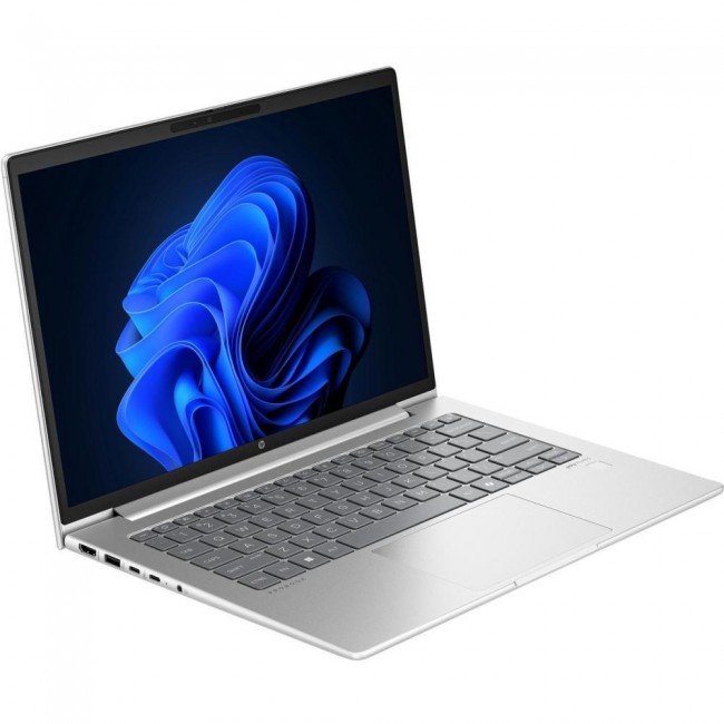 HP ProBook 440 G11 Pike Silver (AD0X2ET)