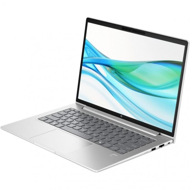 HP ProBook 445 G11 Pike Silver (AD0U1ET)