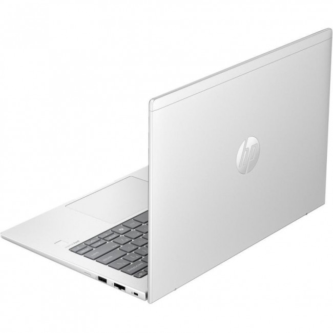 HP ProBook 445 G11 Pike Silver (AD0U1ET)