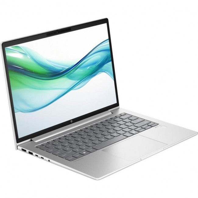 HP ProBook 445 G11 Pike Silver (AD0U1ET)