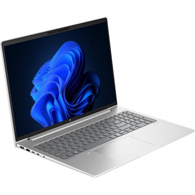 HP ProBook 465 G11 Pike Silver (901H6AV_V2)