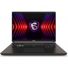 MSI Vector 17 HX A14V (A14VGG-253PL)
